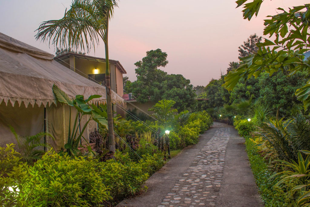 Corbett Tigers N Trees Resort